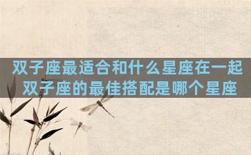 双子座最适合和什么星座在一起 双子座的最佳搭配是哪个星座